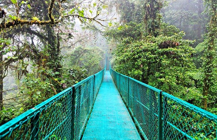 Monteverde y los Bosques Nubosos