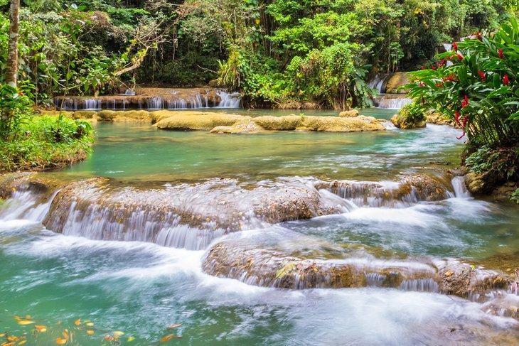Cascadas YS, Jamaica