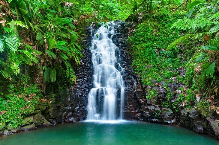 Cascada tropical en Basse Terre, Guadalupe