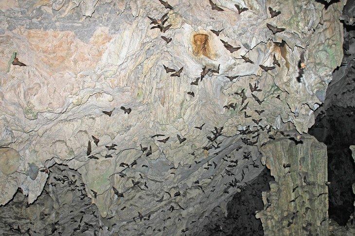 Grutas de Lanquín (Lanquín-Höhlen)