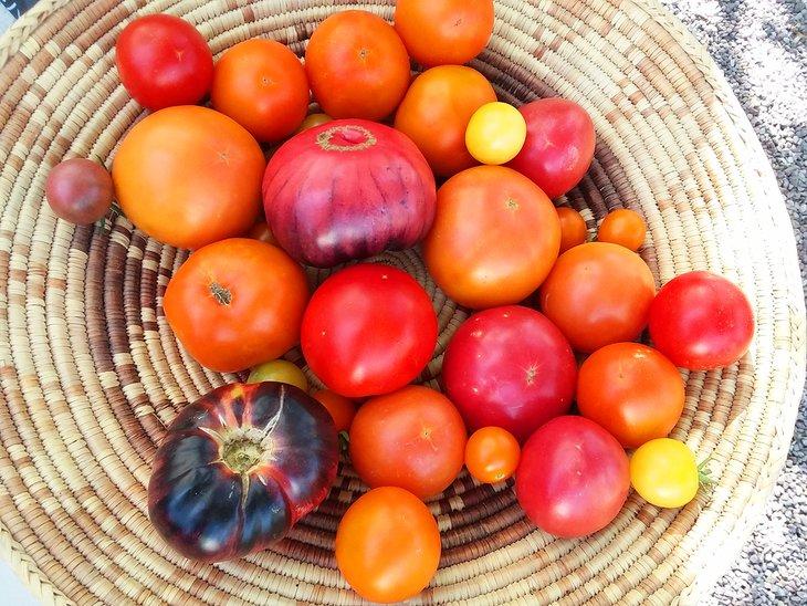 Tomates herencia en el Mercado de Agricultores de Santa Fe