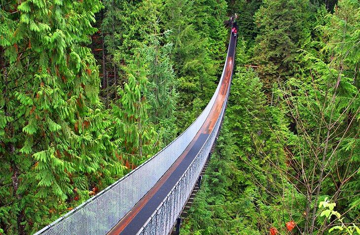 Puente Colgante Capilano