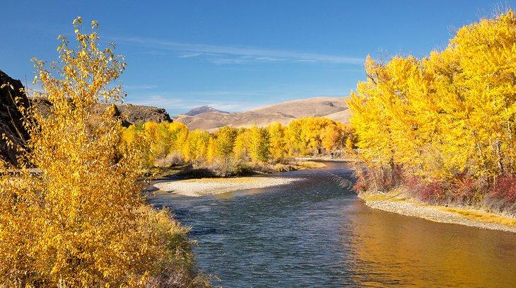 El río Salmon en otoño