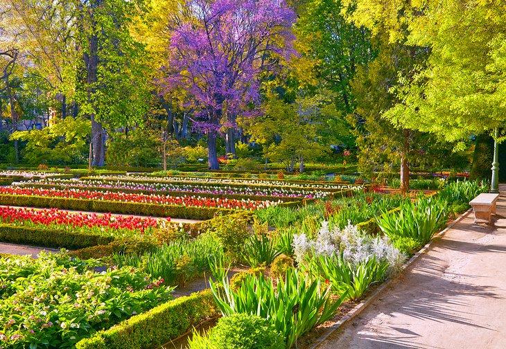 Real Jardín Botánico