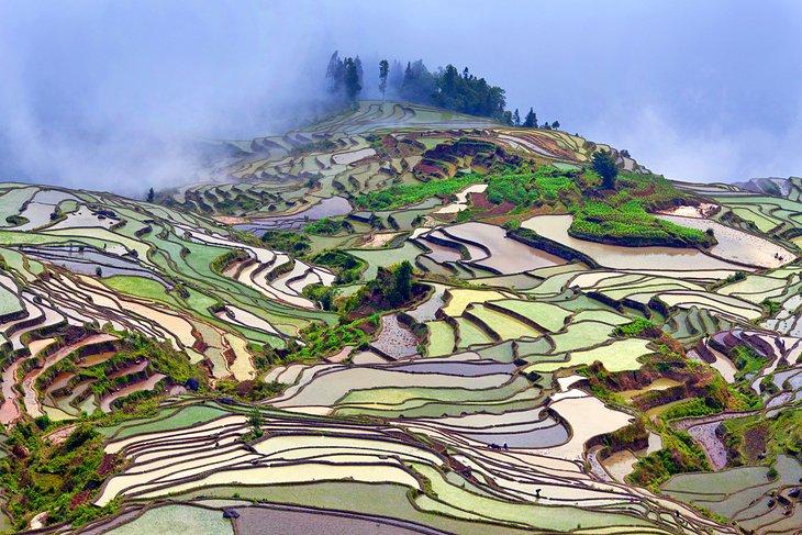 Reisfelder in der Provinz Yunnan