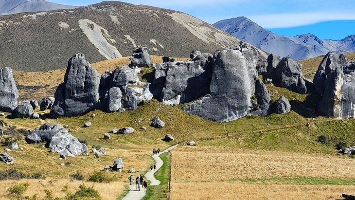 Blick über das Kura Tawhiti Naturschutzgebiet von nahe dem Parkplatz