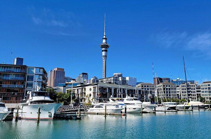 Der Sky Tower in Auckland