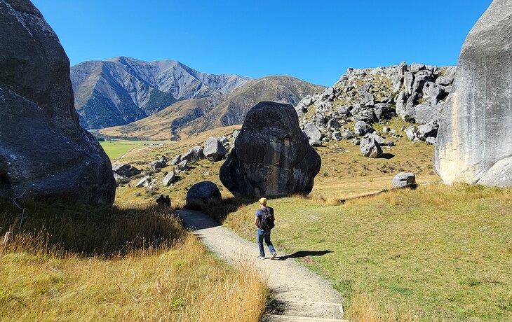 Michael Law auf dem kurzen Weg durch das Kura Tawhiti Naturschutzgebiet