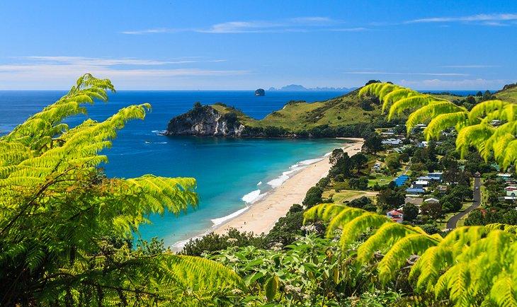 Coromandel-Halbinsel, Nordinsel