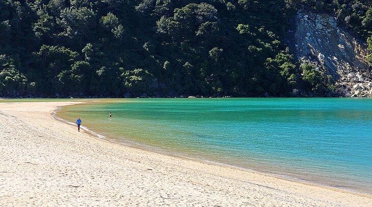 Ein Strand auf der Tageswanderung nach Medlands im Abel-Tasman-Nationalpark