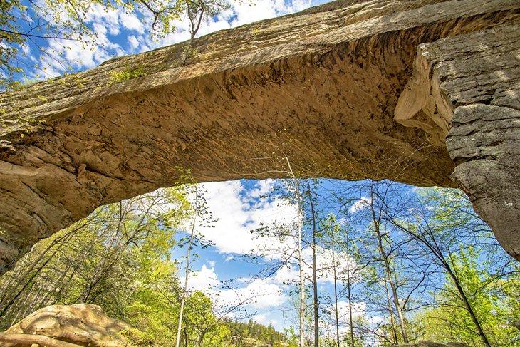 Puente de piedra Natural Bridge en el Parque Estatal Natural Bridge