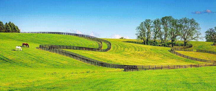 Granja en Kentucky