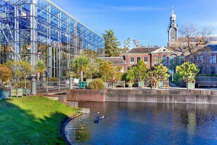 Hortus Botanicus Ámsterdam