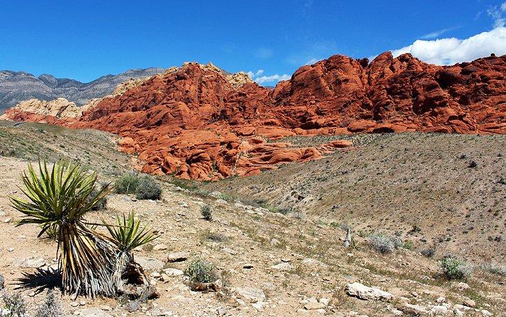 Área de Conservación Nacional del Cañón Red Rock