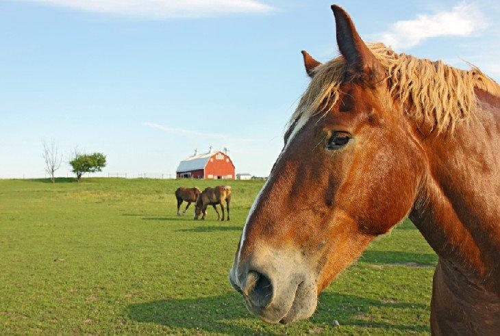 Die Farm in Prophetstown