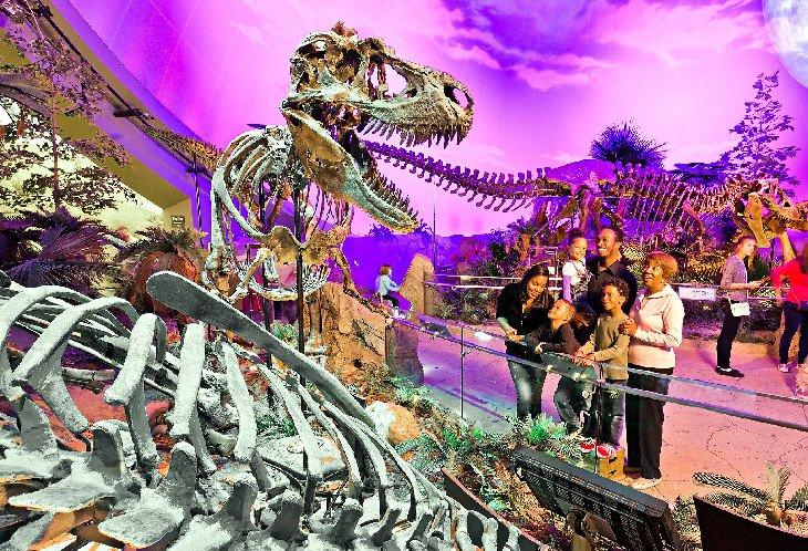Dinosphere-Ausstellung im Children's Museum