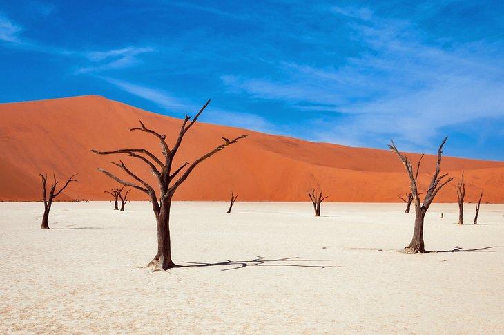 Deadvlei, Sossusvlei, Parque Nacional Namib-Naukluft