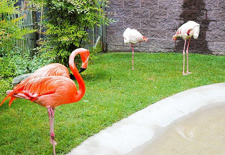 Parque y Zoológico del Condado de Cape May