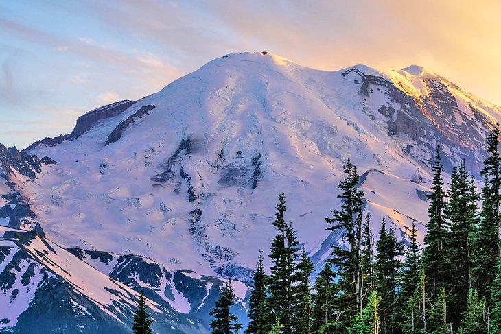 Blick auf den Mount Rainier vom Sunrise Visitor Center