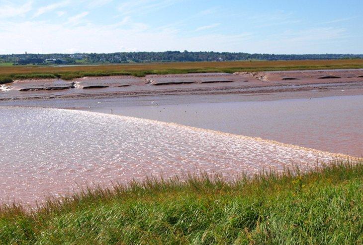 Flujo de Marea de la Bahía de Fundy