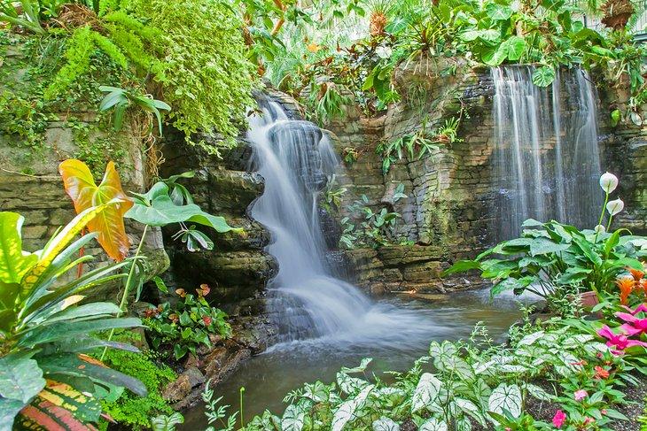 Cascada y jardines tropicales en el Gaylord Opryland Resort