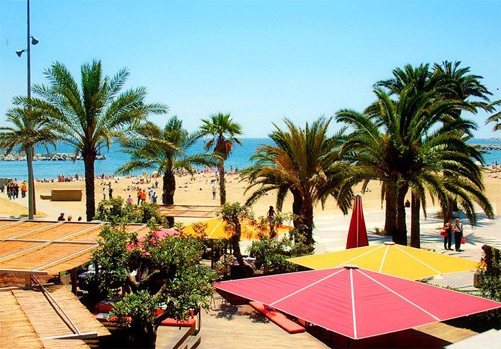 La Barceloneta