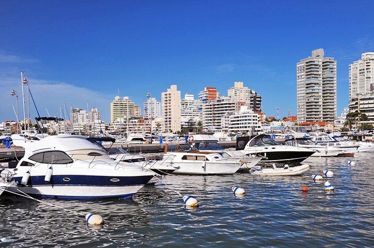 Puerto de Punta del Este
