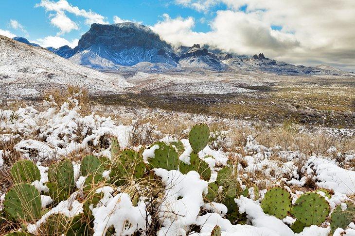 Nieve en el Parque Nacional Big Bend