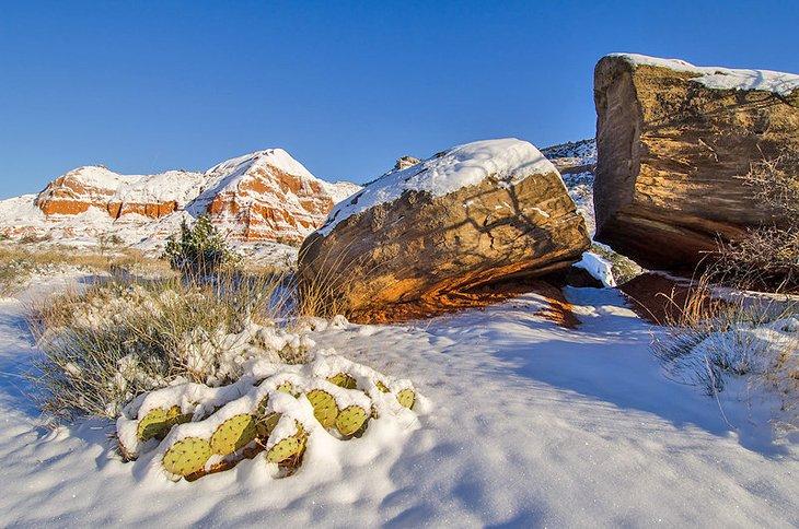 Parque Estatal del Cañón Palo Duro cubierto de nieve