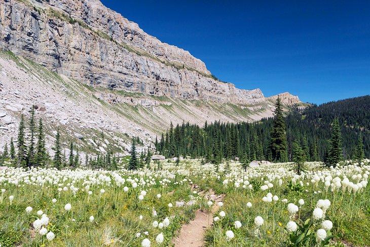 The Chinese Wall, Bob Marshall Wilderness