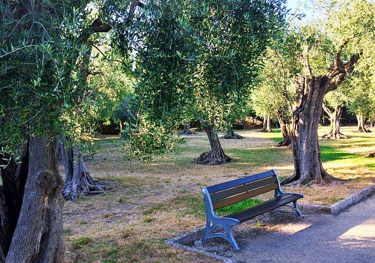 Jardin des Arenes de Cimiez