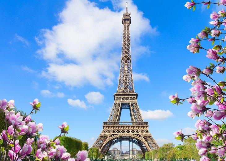 Frühlingsblumen vor dem Eiffelturm