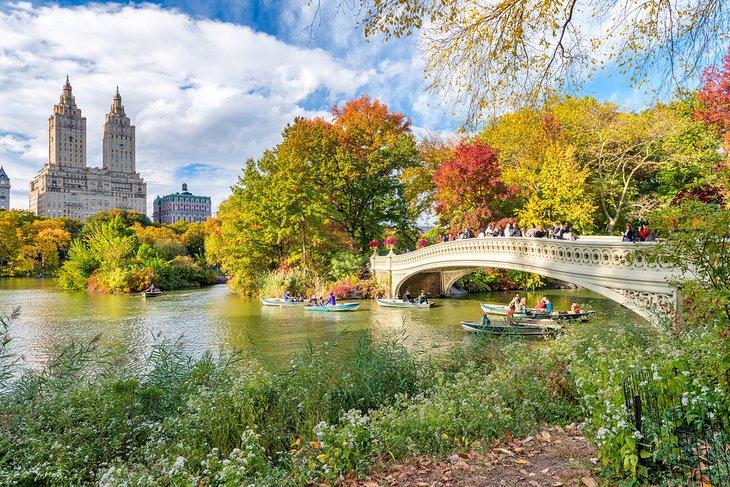 Herbstfarben im Central Park in New York