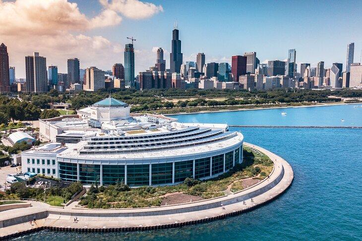 Acuario Shedd