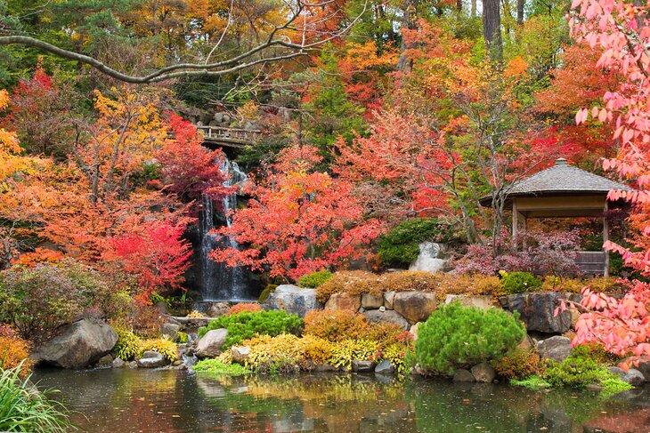 Colores del otoño en Jardines Japoneses de Anderson