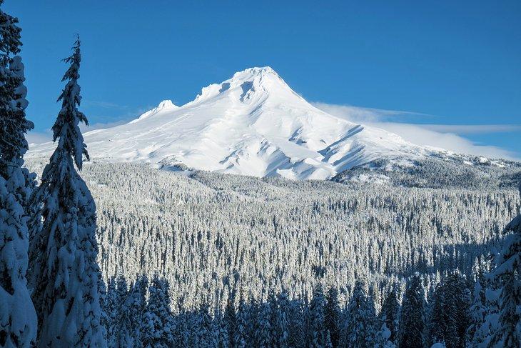 Montaña Hood cubierta de nieve