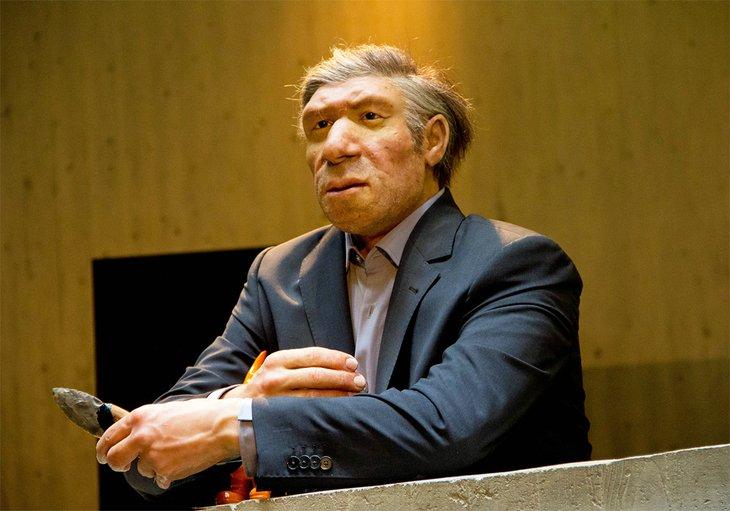 Exhibición en el Museo Neanderthal