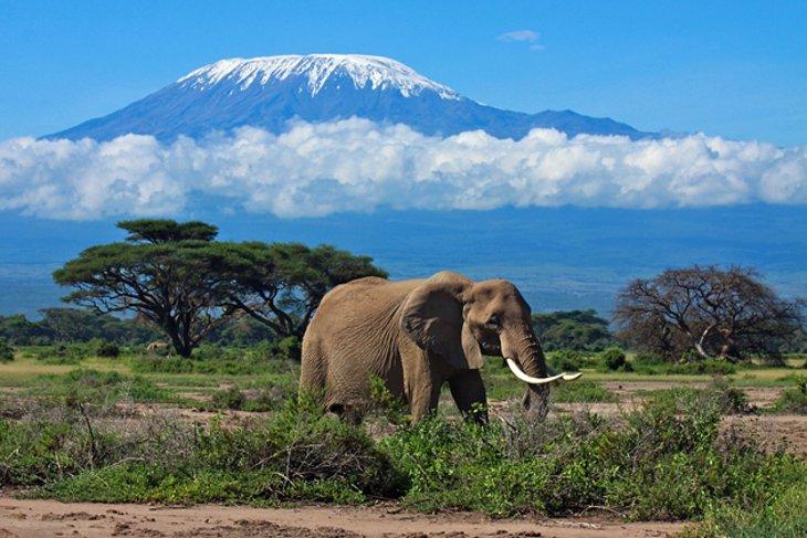 Monte Kilimanjaro