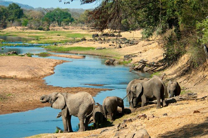 Parque Nacional Ruaha