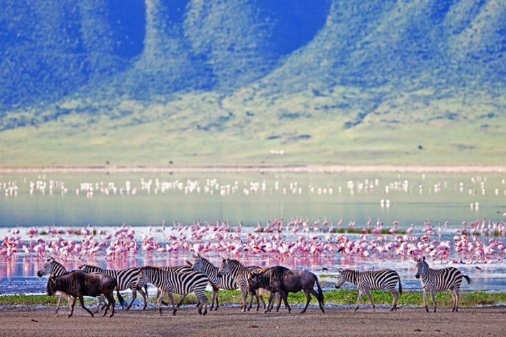 Área de Conservación de Ngorongoro