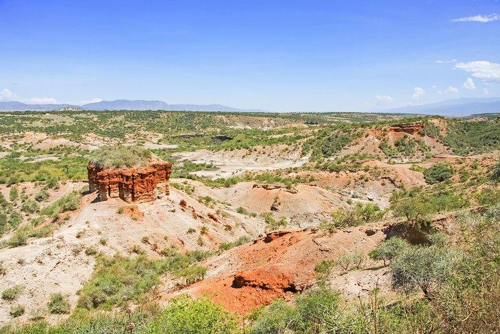 Garganta de Olduvai
