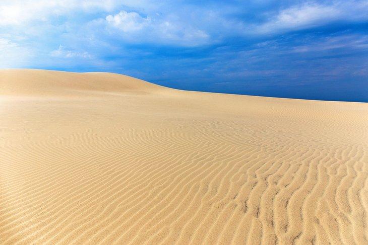 Dunes de sable à la Rabjerg Mile
