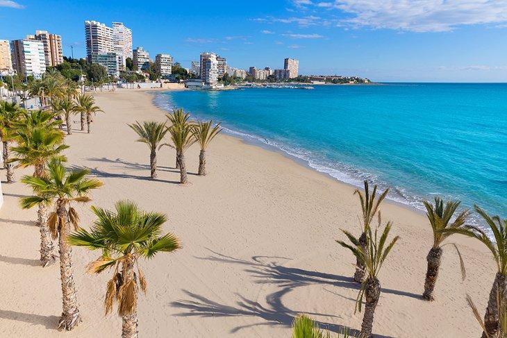 Palmeras en la Playa de San Juan