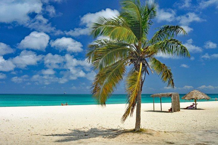 Playa Manchebo, Aruba