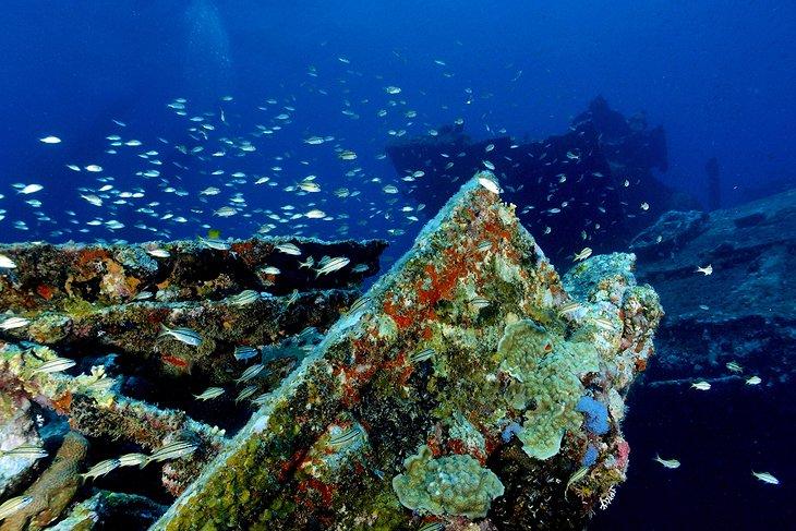 Sitios de Buceo