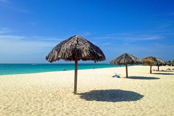 Playa Eagle
