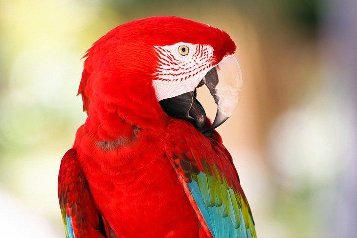 Jardín de Animales de Philip