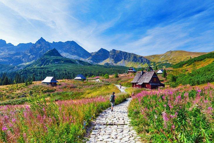 Camino a través del Valle Gasienicowa en las Montañas Tatra