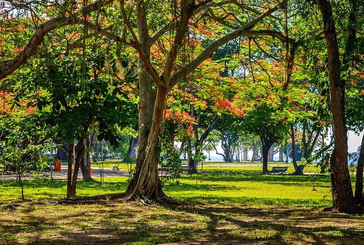 Ilha de Paquetá