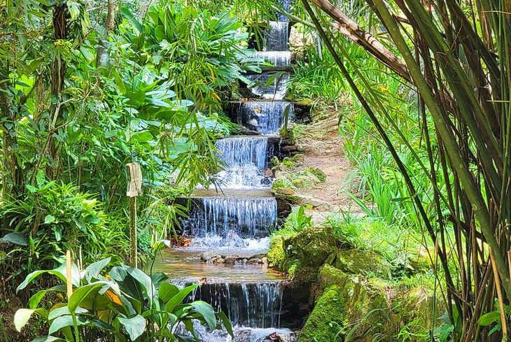 Una cascada en el Jardim Botânico